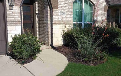 Photo of Noreen M.'s yard after getting lawn care in La Canada Flintridge, CA