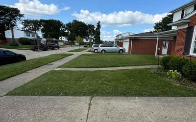 Photo of Dan H.'s yard after getting lawn care in Farmington, MI