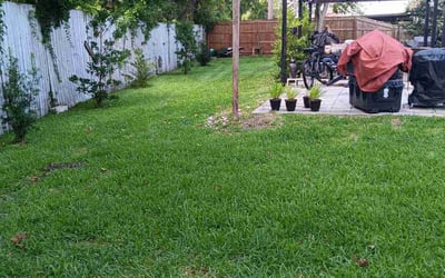 Photo of Bess S.'s yard after getting lawn care in Kennesaw, GA