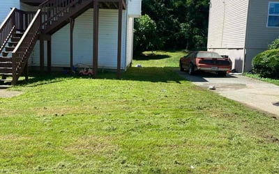 Photo of Michele S.'s yard after getting lawn care in Troy, IL