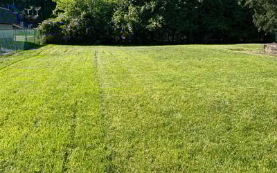 Photo of Mary J.'s yard after getting lawn care in Morgantown, WV