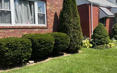 Photo of Morgan K.'s yard after getting lawn care in Imperial, MO
