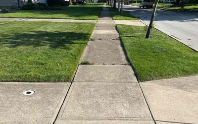 Photo of Carla P.'s yard after getting lawn care in Chagrin Falls, OH