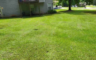 Photo of Kimberly C.'s yard after getting lawn care in Covington, GA