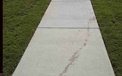Photo of Nancy B.'s yard after getting lawn care in West Lafayette, IN
