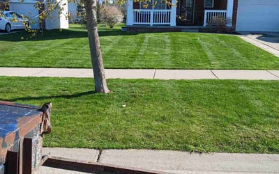 Photo of Theresa W.'s yard after getting lawn care in Howell, MI