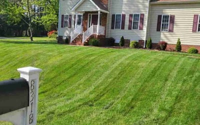 Photo of Brandon H.'s yard after getting lawn care in Brandon, MS