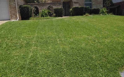 Photo of Michael F.'s yard after getting lawn care in Canton, OH