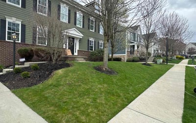 Photo of Dorothy E.'s yard after getting lawn care in Oakdale, PA
