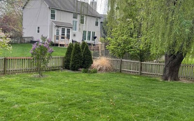 Photo of Andy P.'s yard after getting lawn care in Overland Park, KS