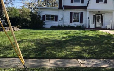 Photo of Taylor P.'s yard after getting lawn care in Drexel Hill, PA