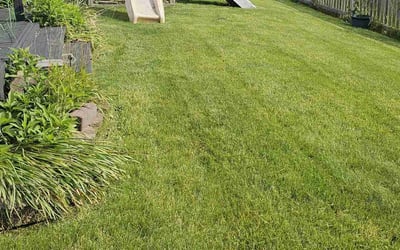 Photo of Doris and Jerry N.'s yard after getting lawn care in Greenwood, IN