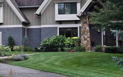 Photo of Chad H.'s yard after getting lawn care in Knoxville, TN