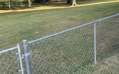 Photo of Mark M.'s yard after getting lawn care in Gardendale, AL