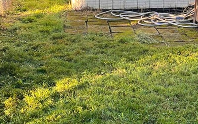 Photo of Margaret S.'s yard after getting tree care in Clackamas, OR