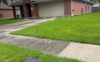 Photo of Beth R.'s yard after getting lawn care in Bellingham, MA