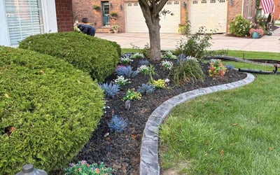 Photo of Jacqueline Z.'s yard after getting lawn care in Centreville, VA