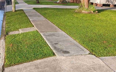 Photo of Julie R.'s yard after getting lawn care in New Iberia, LA