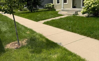 Photo of Dave A.'s yard after getting lawn care in Madison, WI