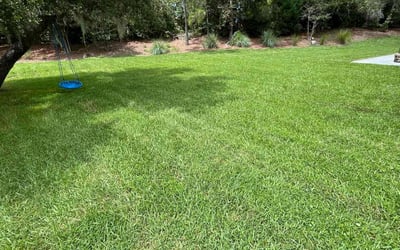 Photo of Patrice H.'s yard after getting lawn care in La Quinta, CA
