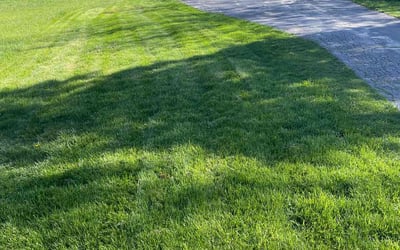 Photo of Xavier K.'s yard after getting lawn care in Ottawa, IL