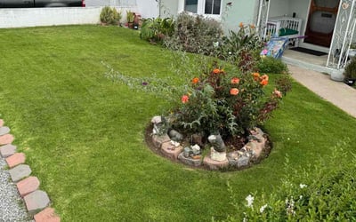 Photo of Cheryl K.'s yard after getting lawn care in Corona, CA