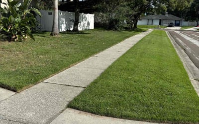 Photo of Heather Z.'s yard after getting lawn care in Sebring, FL