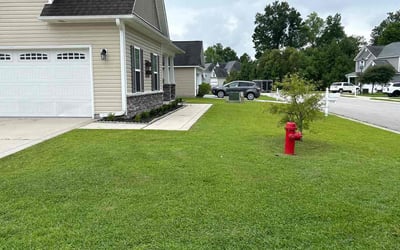 Photo of Will C.'s yard after getting lawn care in New Bern, NC