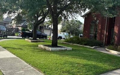 Photo of Anastasia C.'s yard after getting lawn care in Portage, IN