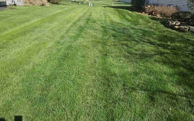 Photo of Nikki K.'s yard after getting lawn care in Huntington, WV