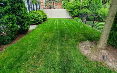 Photo of Daniel T.'s yard after getting lawn care in Elmhurst, IL