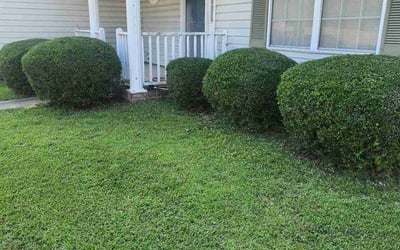 Photo of Megan M.'s yard after getting lawn care in Roxboro, NC