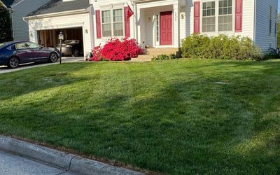 Photo of Blake B.'s yard after getting lawn care in Ashburn, VA
