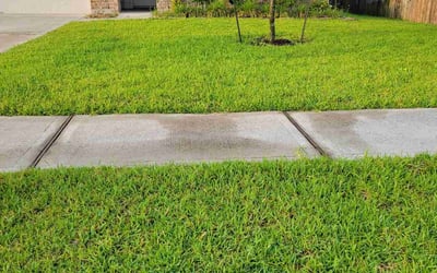 Photo of Robert M.'s yard after getting lawn care in Ringgold, GA