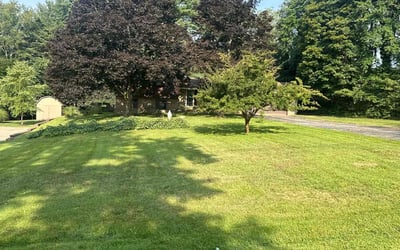 Photo of Amber K.'s yard after getting lawn care in Chagrin Falls, OH