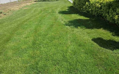 Photo of Sean B.'s yard after getting lawn care in Circleville, OH