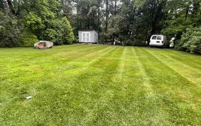 Photo of Vanessa C.'s yard after getting lawn care in Wolcott, CT