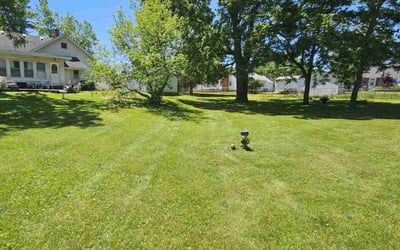 Photo of Cheryll P.'s yard after getting lawn care in Plymouth, MI