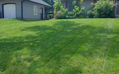 Photo of Mariah C.'s yard after getting lawn care in Irwin, PA