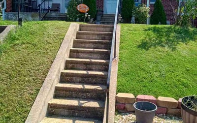 Photo of Brian S.'s yard after getting lawn care in Baltimore, MD