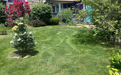 Photo of Michele O.'s yard after getting lawn care in Beech Grove, IN