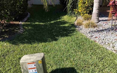 Photo of Brenda M.'s yard after getting lawn care in San Bruno, CA