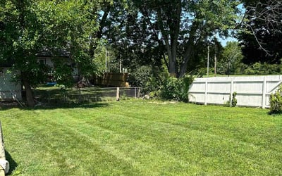 Photo of Karen H.'s yard after getting lawn care in Lees Summit, MO