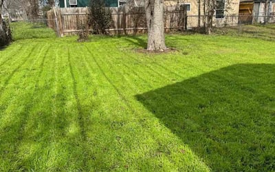 Photo of Arlethia M.'s yard after getting lawn care in Chippewa Falls, WI