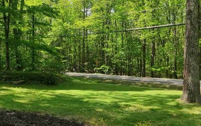 Photo of Mariah S.'s yard after getting lawn care in Somersworth, NH