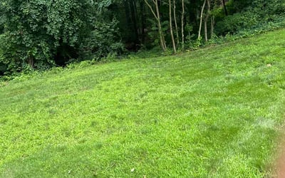 Photo of Christine b.'s yard after getting lawn care in Spencer, MA