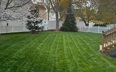 Photo of Lindsay H.'s yard after getting lawn care in Cornelius, NC