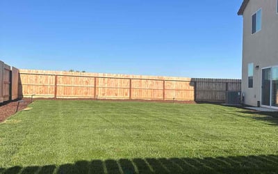 Photo of Rayne W.'s yard after getting lawn care in Kenly, NC
