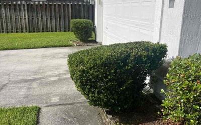 Photo of Abe H.'s yard after getting lawn care in Saint Johns, FL