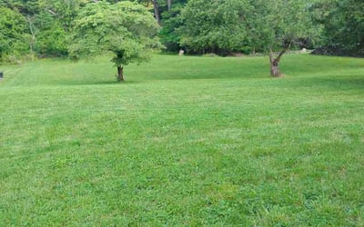 Photo of Esteban F.'s yard after getting lawn care in Tomball, TX